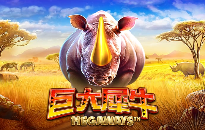 开云综合app